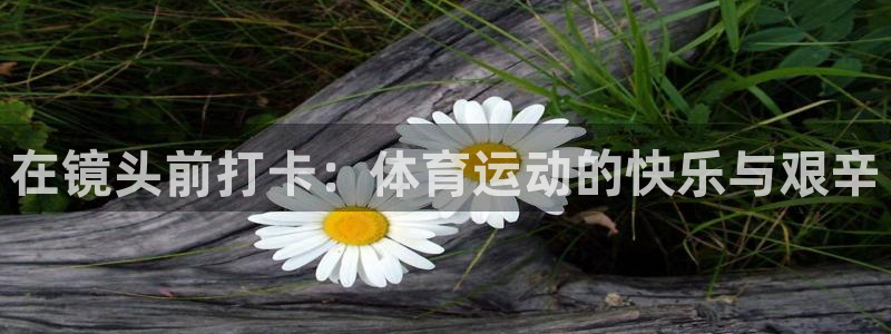 V体育APP玩球合法吗
