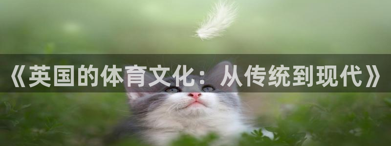 v体育官方app下载