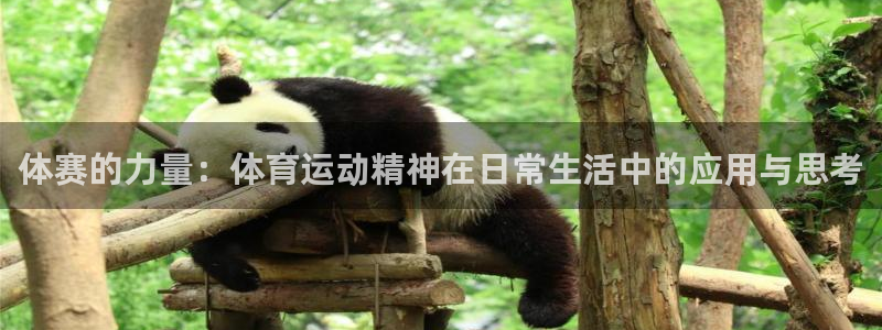 V体育首页登录入口：体赛的力量：体育运动精神在日常生活中的应用与思考