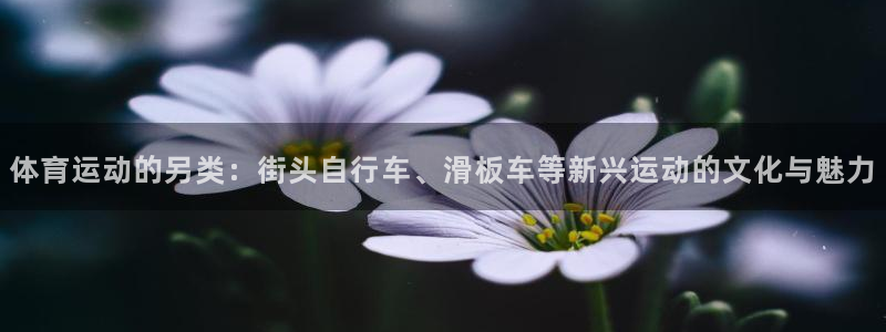 V体育网站入口登录：体育运动的另类：街头自行车、滑板车等新兴运动的文化与魅力