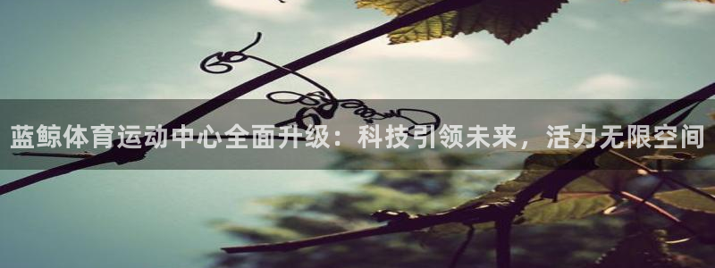 V体育在线登录入口
