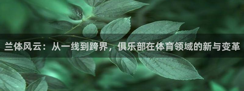 v体育官方app下载