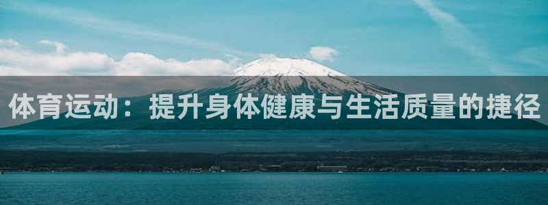V体育网站入口登录