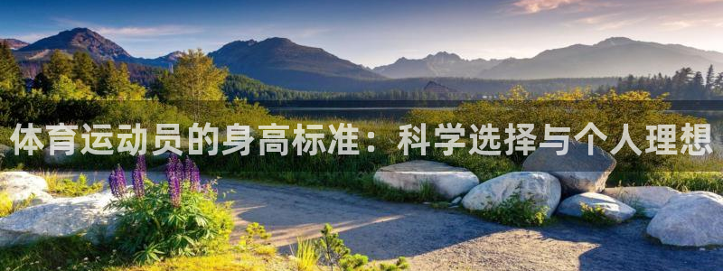 v体育官方网站入口