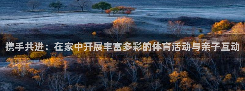 CNTV体育：携手共进：在家中开展丰富多彩的体育活动与亲子互动